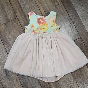 Sweet Heart Rose Floral Peach Dress 3t Dance Formal
